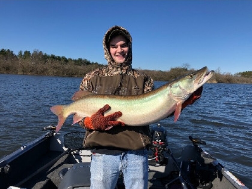 Joe Connell of Ottawa with a big muskie from Evergreen Lake. Provided by Rod Thorson