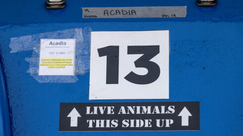 Signs are displayed on a tank in which Beluga whale "Acadia" will be transported to the Shedd Aquarium from Marineland in Niagara Falls, Ontario. Acadia was transported from the now-shuttered Marineland on Monday, July 20, 2026.