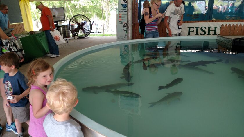 The fish tanks at Conservation World continue to be a draw for all ages.<br>Credit: Dale Bowman