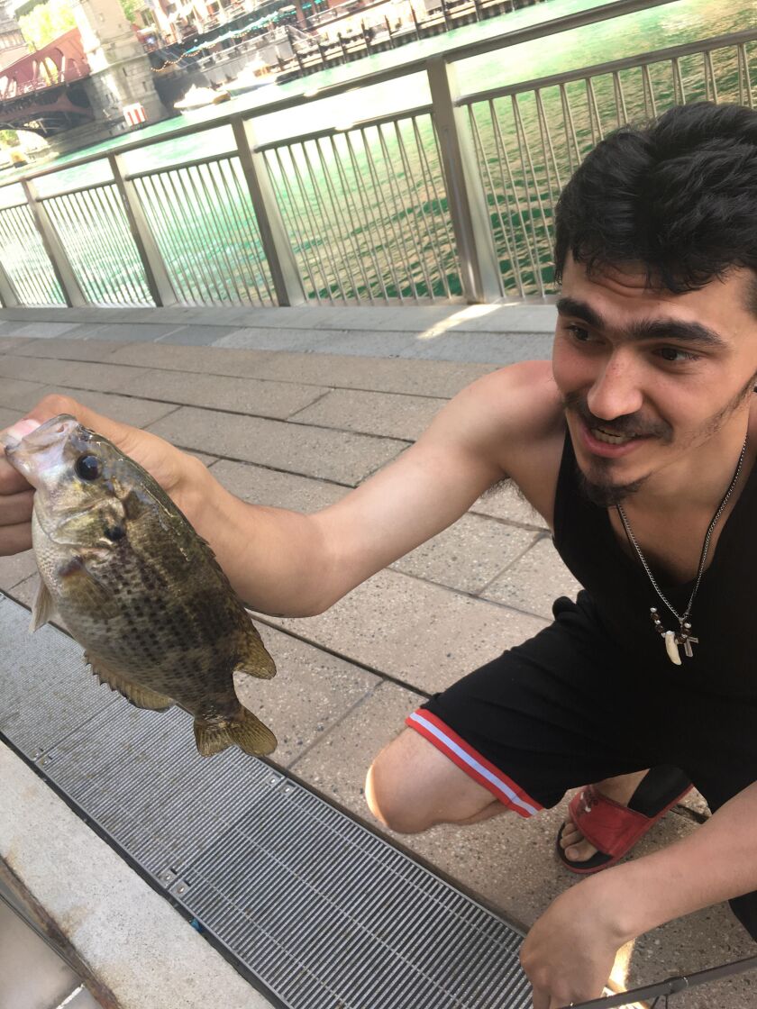 Jesse Gonzalez with a rock bass from the Chicago River downtown. Provided photo