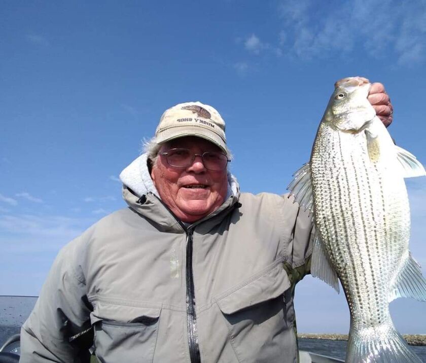 Pete Riedesel with one of the hybrid stripers last week at LaSalle Lake. Provided photo