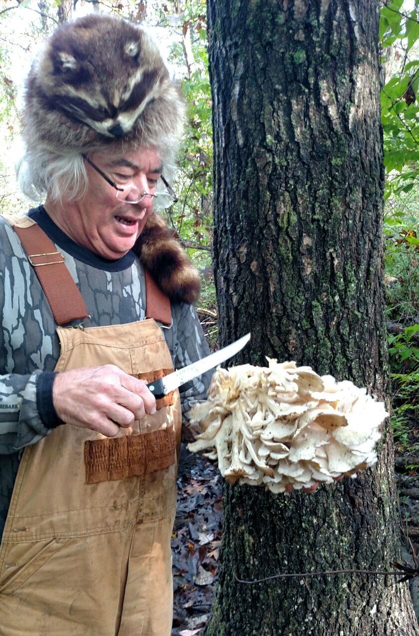 mushrooms10_08_18patcleaning.jpg