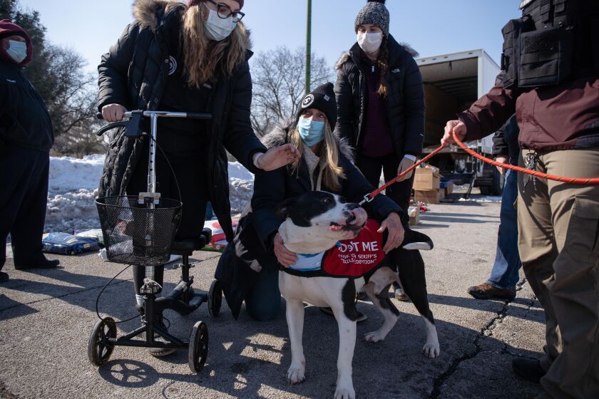 From left to right: Kristy Michalski, volunteer coordinator of Fetching Tails Foundation, Linda Wyka, president of Fetching Tails Foundation, and volunteer Melanie Giovannelli play with Pierre, who is available for adoption.