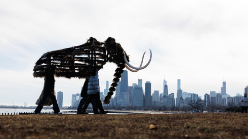 Dancers donning the mammoth costume walk past with the city skyline in the background for the video portion of “Nick Cave: Mammoth” a series by artist Nick Cave during a video shoot near the Theater by the Lake at North DuSable Lakeshore Drive and West Fullerton Parkway on the lakefront, Tuesday, Jan. 13, 2026. Nick Cave will be presenting work at the Smithsonian American Art Museum that will be immersive experience with crafted hides and bones of mammoths, a video projection of the mammoths come to life, found objects.