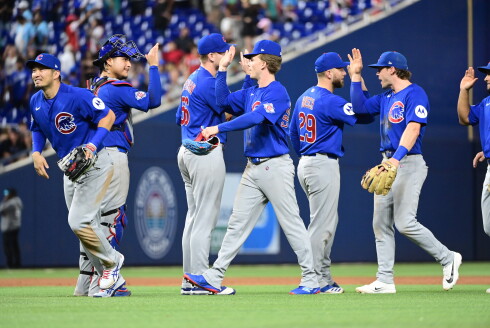 Cubs celebrate win