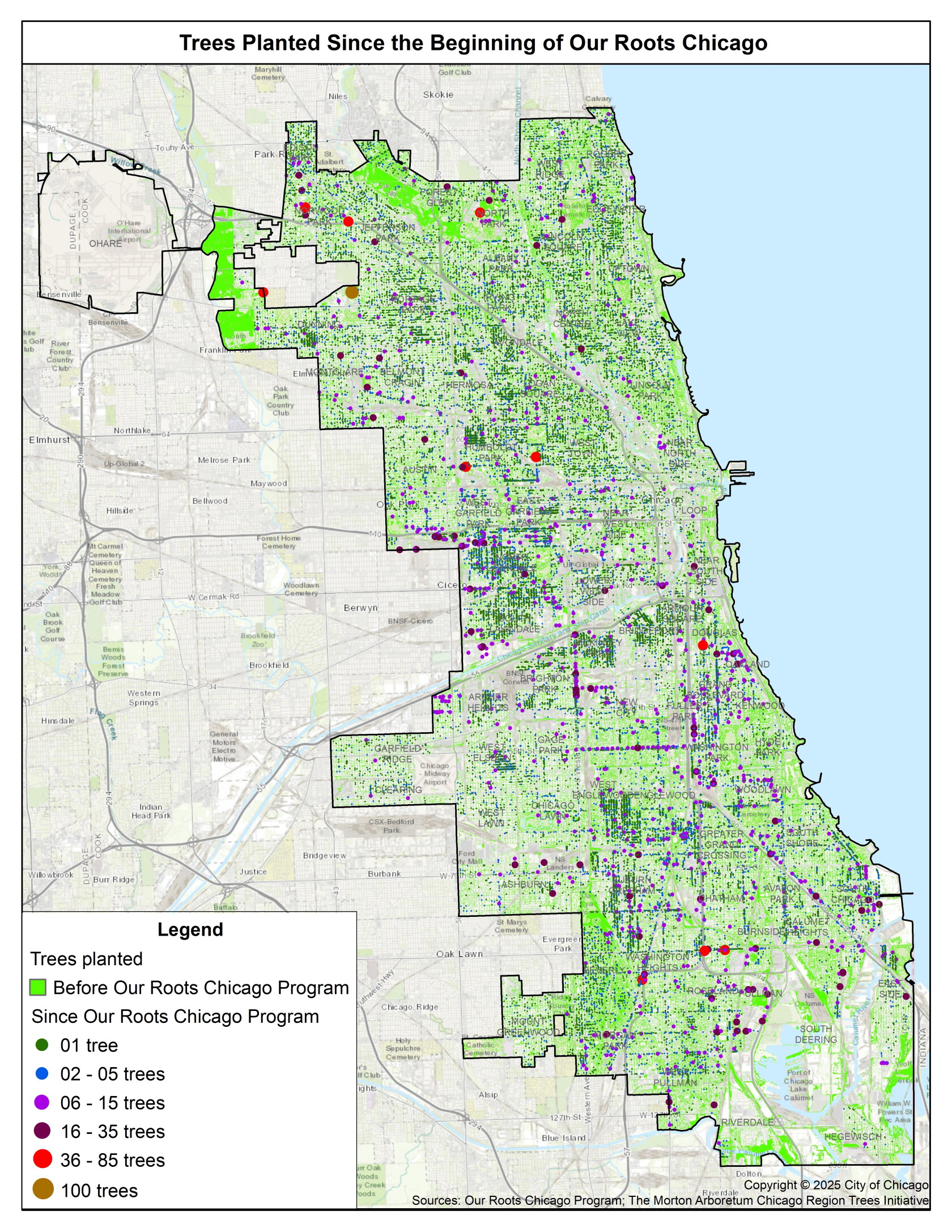 Are healthy Chicago trees getting the ax? - WBEZ Chicago