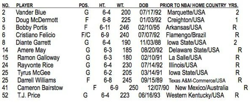 Bulls_summer_league_roster.jpg
