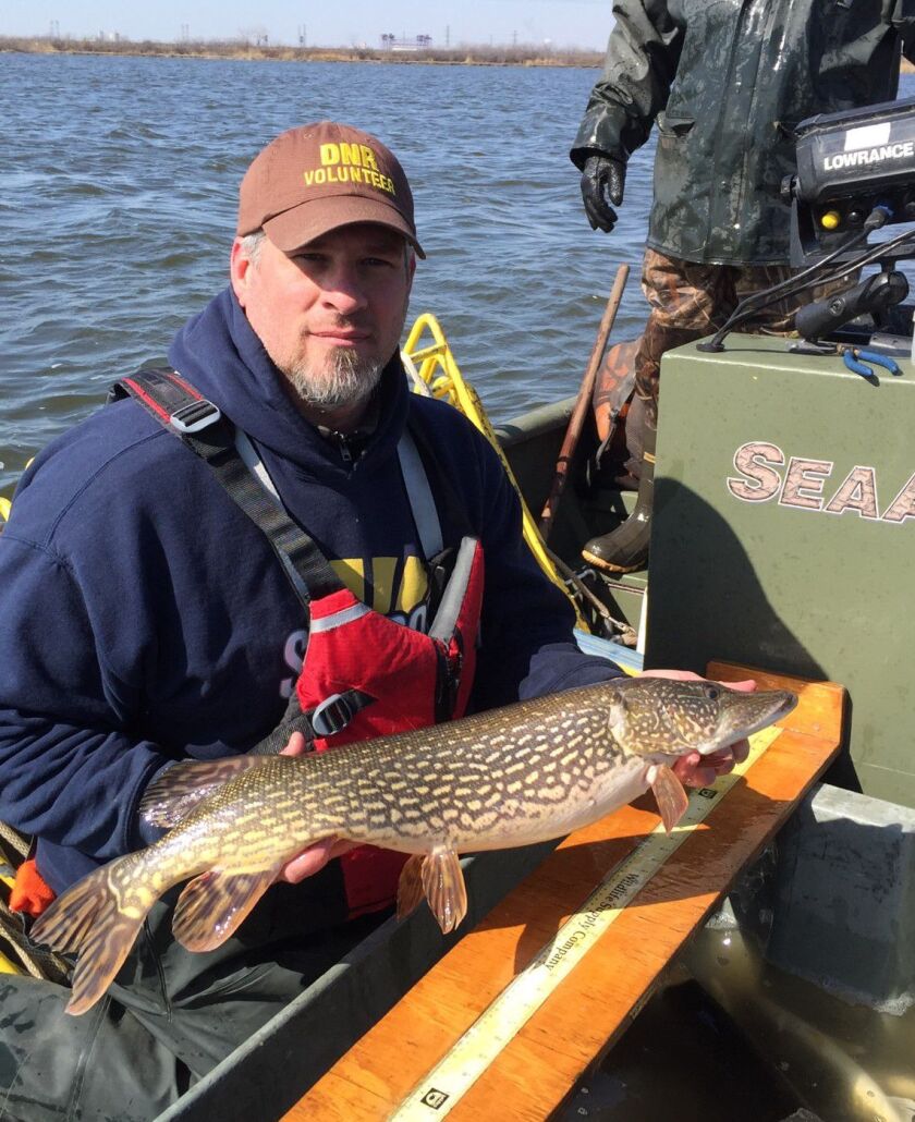 Indiana DNR volunteer Jason Moloney holds one of the northern pike in a survey of northern pike this month on Wolf Lake. Provided photo