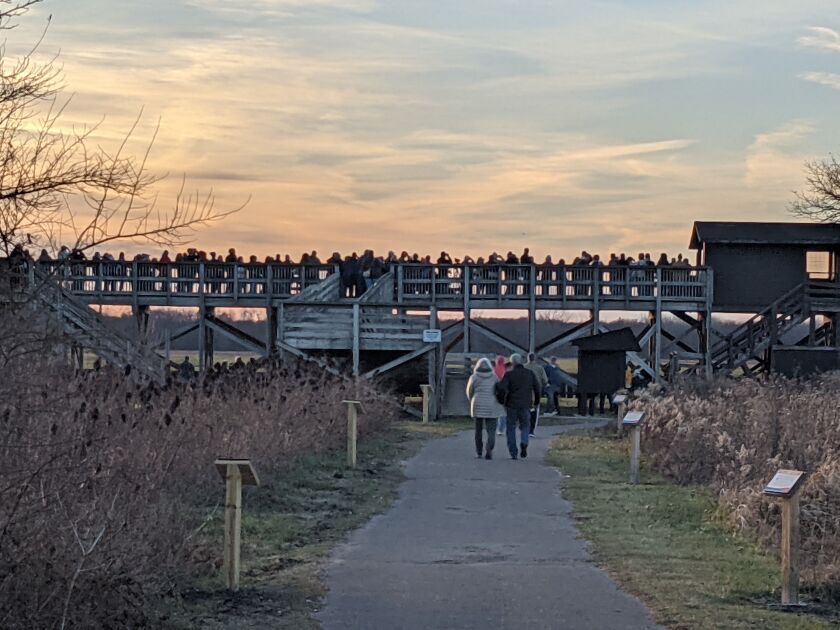 The crowd at the viewing tower at Jasper-Pulaski Fish and Wildlife Area Thursday near sunset, as more people arrived. Credit: Dale Bowman