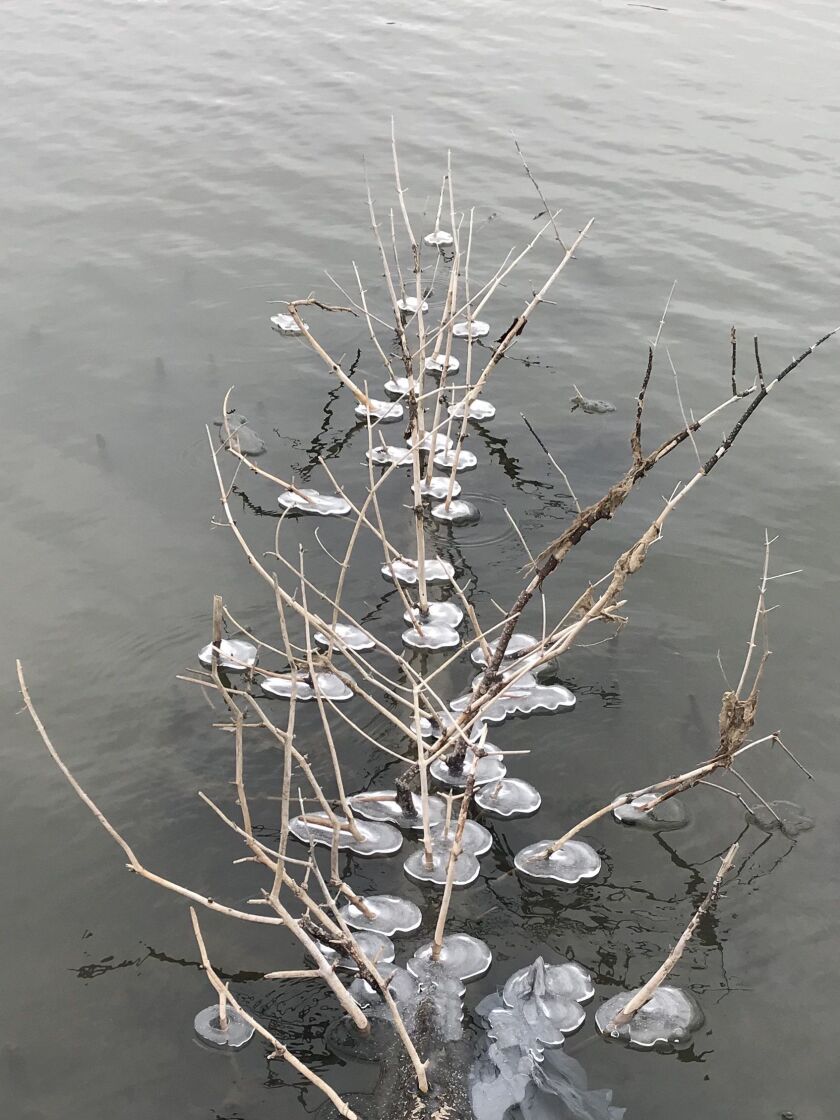 Nature photo. Provided by Ken “Husker” O’Malley