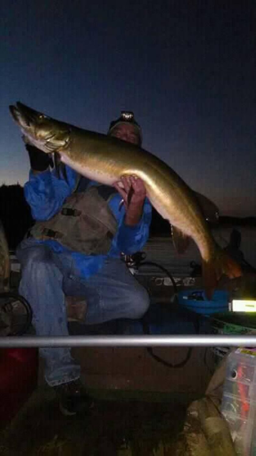 Shabbona Lake muskie, sept. 23, 2018 .<br>Provided from Facebook