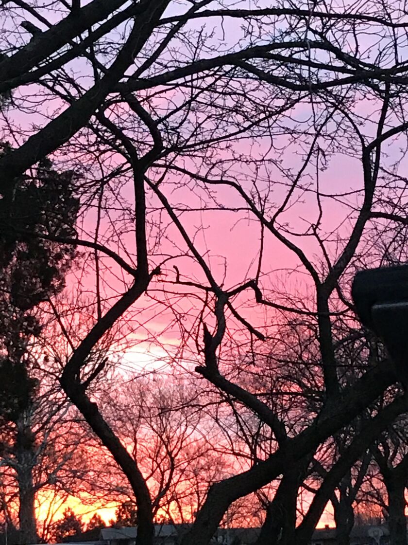 Nature photo for the week. Credit: Ken “Husker” O’Malley