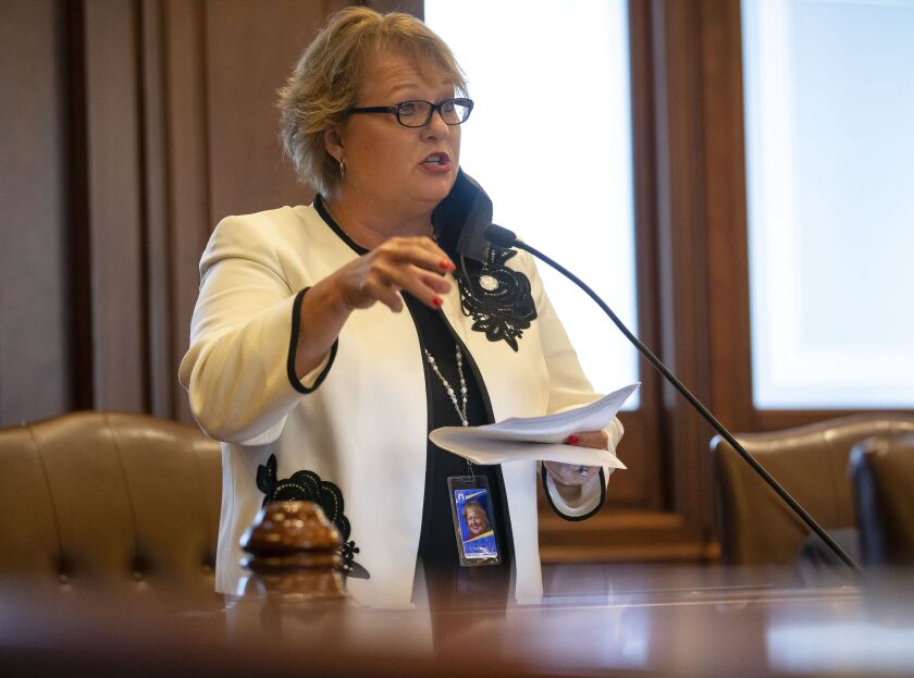 State Sen. Terri Bryant, R-Murphysboro, speaks on the floor of the Illinois Senate in September.