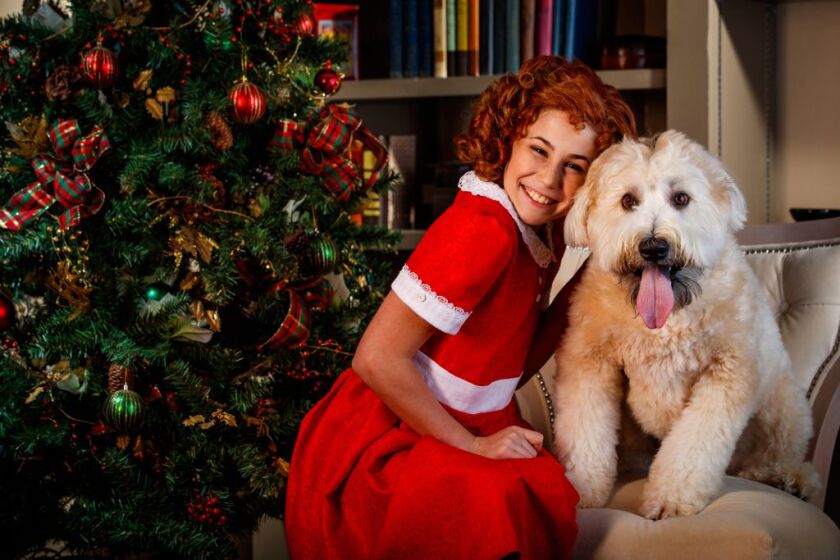 Emily Zimmerman plays the role of Annie alongside Sweets the dog as Sandy in Theatre at the Center’s new production of “Annie Warbucks” in Munster, Indiana. | Photo by Guy Rhodes