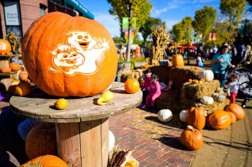 Halloween is in full swing at the Lincoln Park Fall Fest.