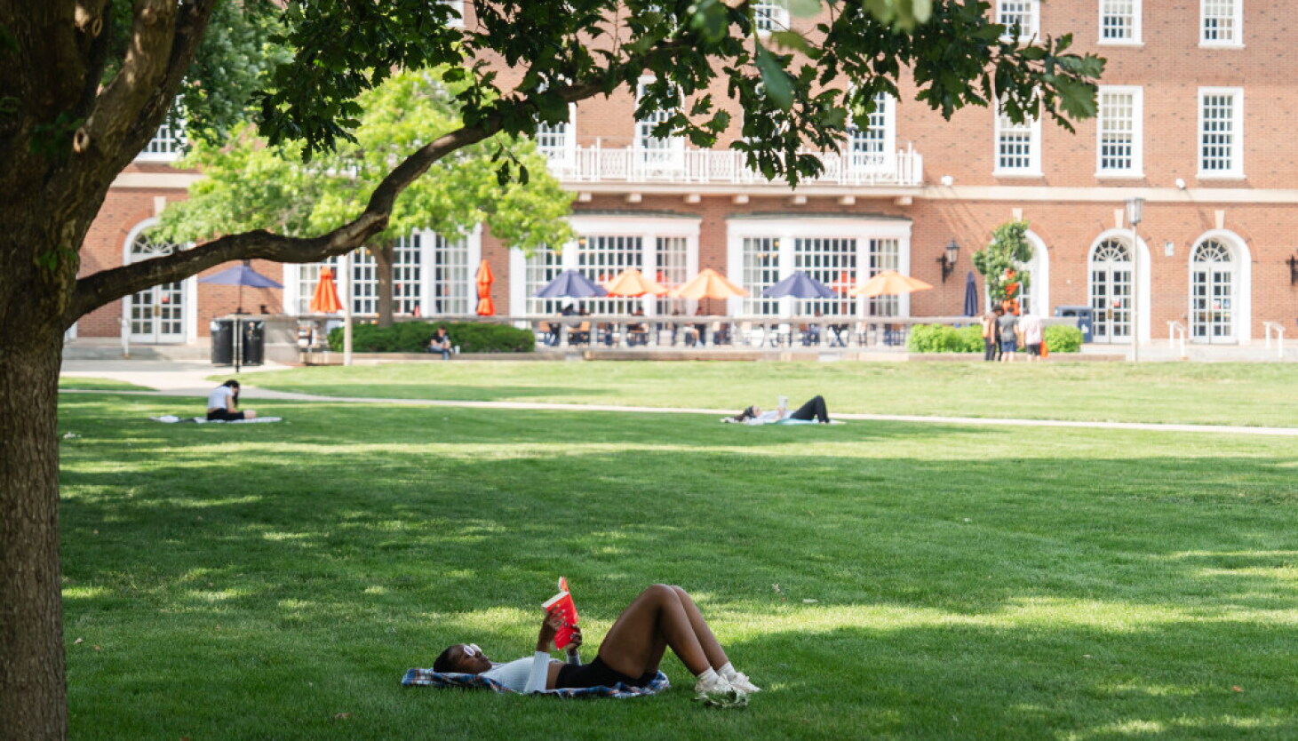 College still pays off, but wage gaps persist in Illinois, study finds College still pays off, but wage gaps persist in Illinois, study finds