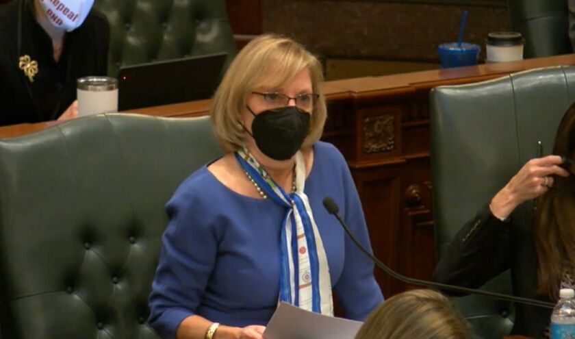 State Rep. Robyn Gabel, D-Evanston, speaks on the House floor last month.