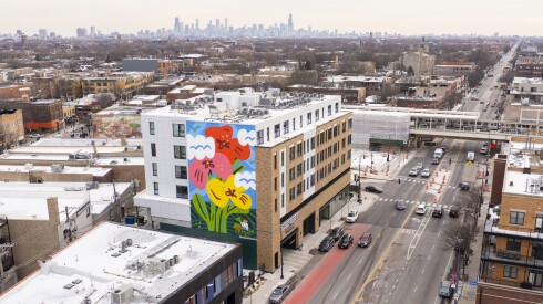 Katie Lukes' mural is on a new multistory, mixed-use building that has replaced what was once a parking lot in Lincoln Square.