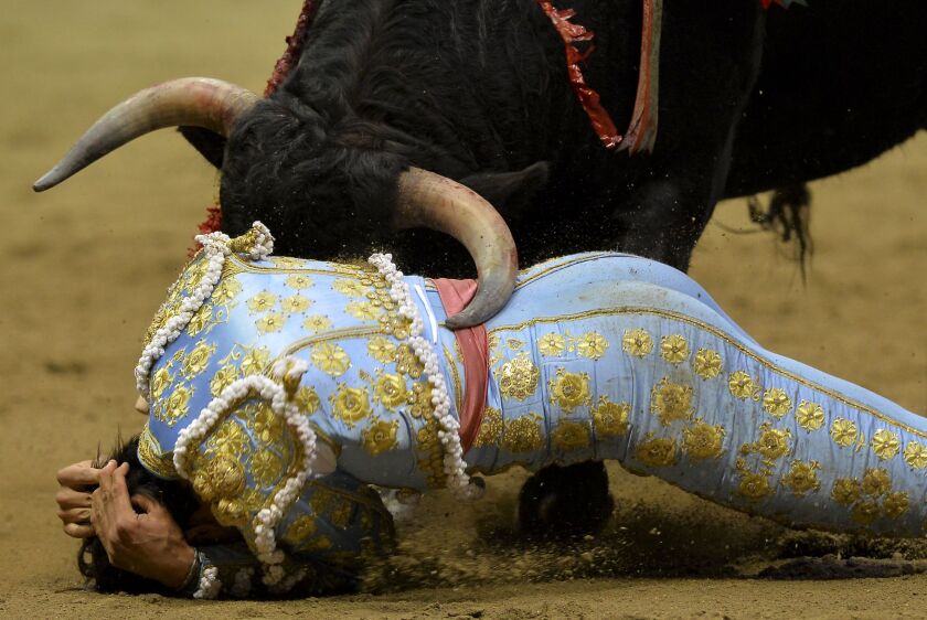 Peruvian bullfighter Andres Roca Rey is hit by a bull during a bullfight at La Macarena bullring in Medellin, Department of Antioquia, Colombia on January 24, 2015. RAUL ARBOLEDA/AFP/Getty Images