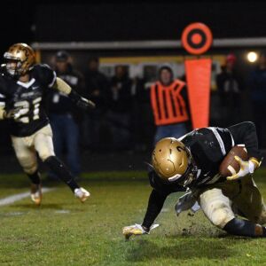 Richards senior Sebastian Castro (2) falls after grabbing an interception. Worsom Robinson/For the Sun-Times.
