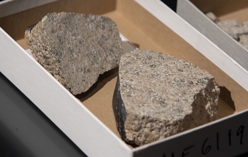 Samples of a meteorite identified as a piece of Vesta, the brightest asteroid visible from Earth, at The Field Museum. Wednesday, June 30, 2021.