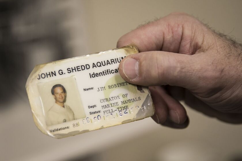 Jim Robinett still has one of his first ID badges from his 40 years at the Shedd Aquarium. | Ashlee Rezin/Sun-Times