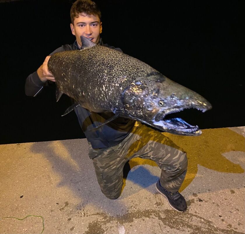 Anthony Sokolov with one of the biggest Chinook caught this fall from the Chicago shoreline. Provided photo