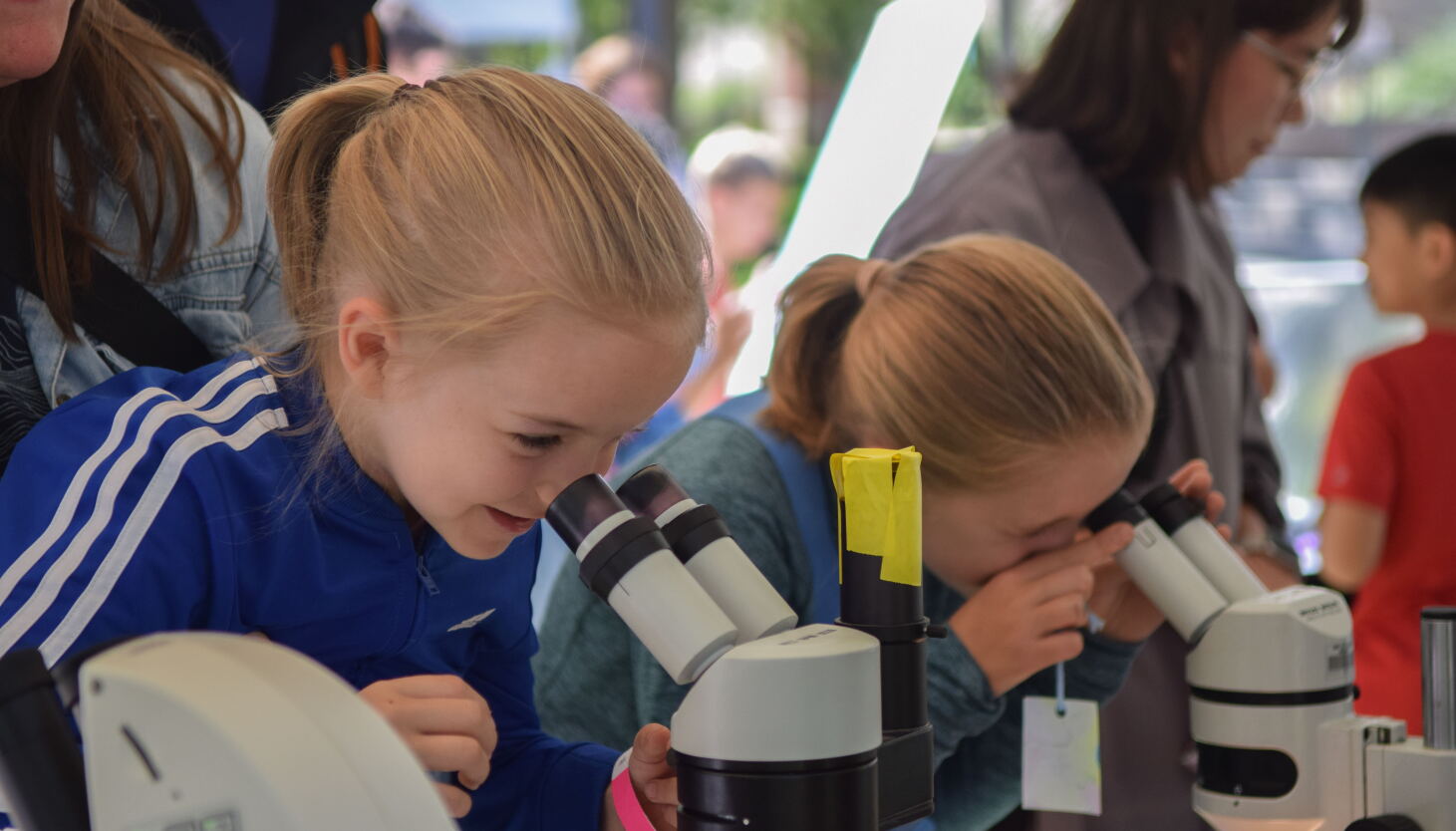 South Side Science Festival South Side Science Festival