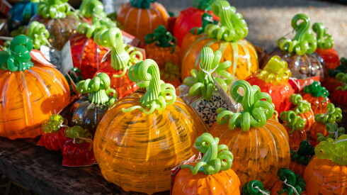 Glass Pumpkin Patch - Credit The Morton Arboretum.jpg