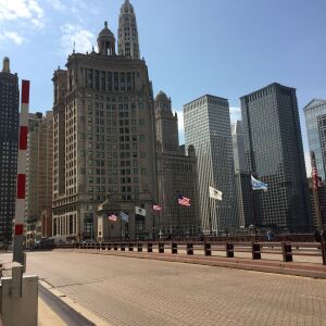 IMG_2533.jpg