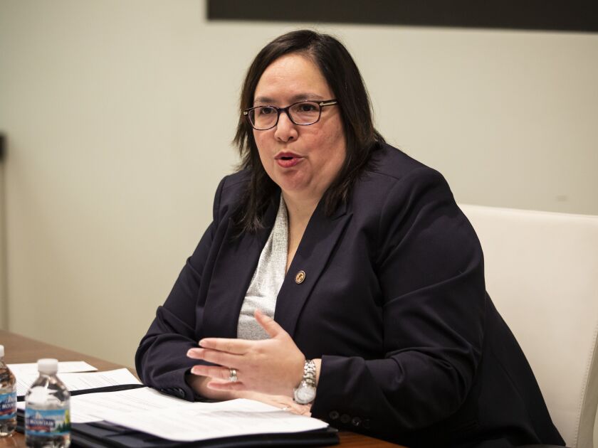 State Sen. Cristina Castro, D-Elgin, last year.