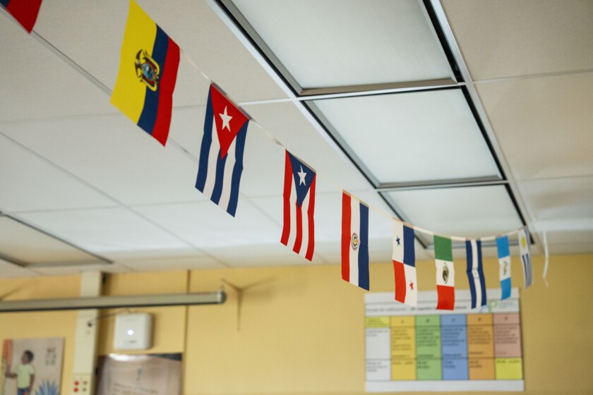 Flags at Roosevelt High School