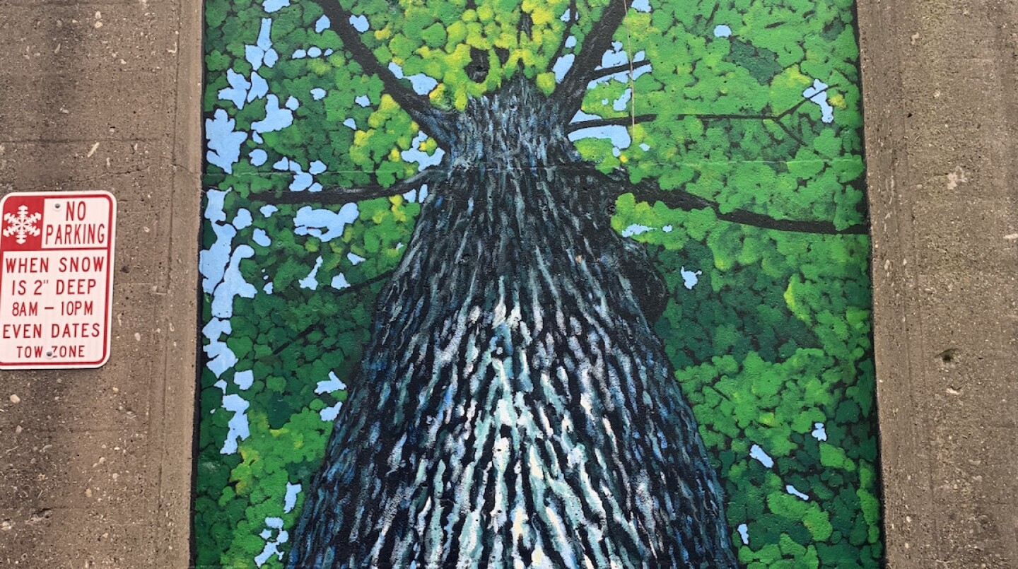 Berwyn artist Ken Reif loves nature and trees, as he shows in this Oak Park mural of a giant tree.