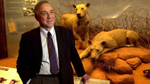 Philip Caputo with Ghost and Darkness, the "Maneaters of Tsavo," at the Field Museum in 2002