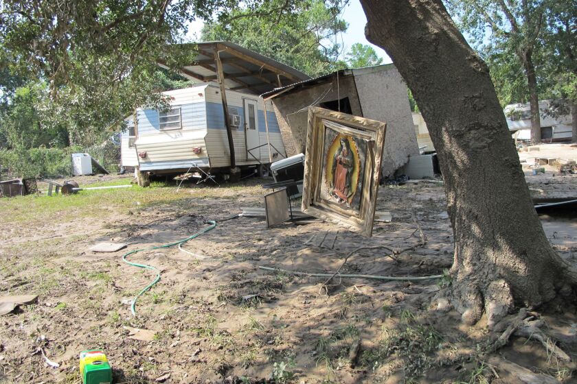 A painting of the Virgin de Guadalupe hangs from a tree branch in a Crosby, Texas, neighborhood wiped out by Harvey’s floodwaters.<br>| Jason Dearen/Associated Press