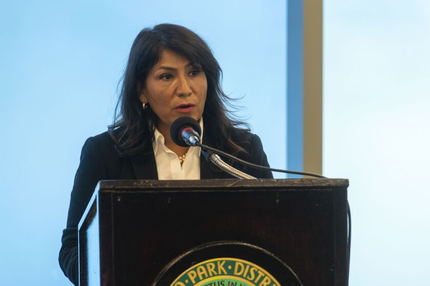 Chicago Park District Interim General Superintendent and CEO Rosa Escareno speaks to reporters during a press conference at Jesse White Park on Tuesday, Nov. 2, 2021.