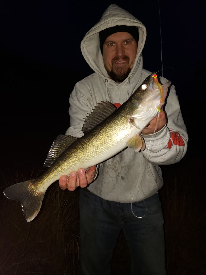 Walleye from the Kankakee River in November.<br>Provided