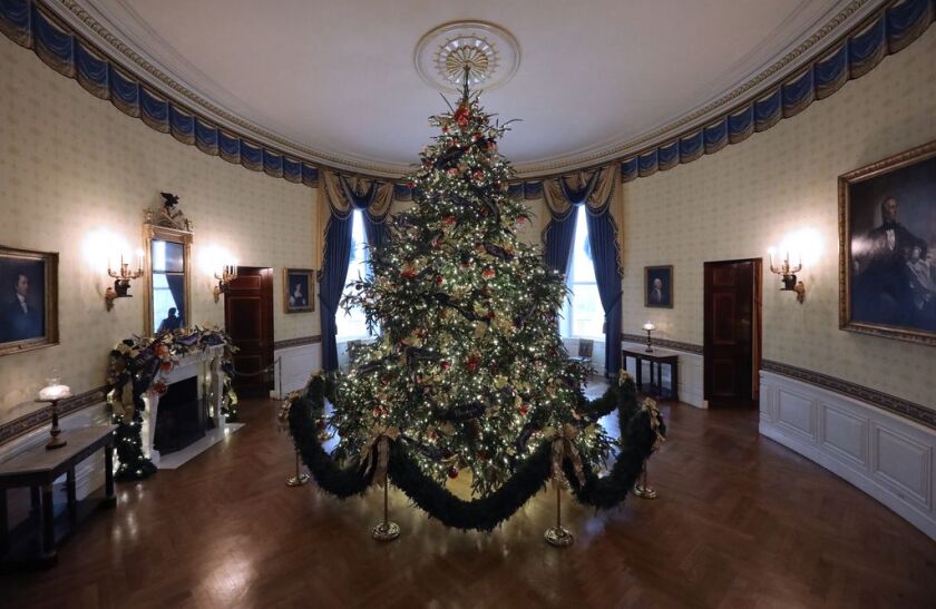 At 18 feet tall, the official White House Christmas is dressed in over 500 feet of blue velvet ribbon embroidered in gold with each state and territory, on display inside the Blue Room at the White House November 26, 2018 in Washington, DC. | Chip Somodev