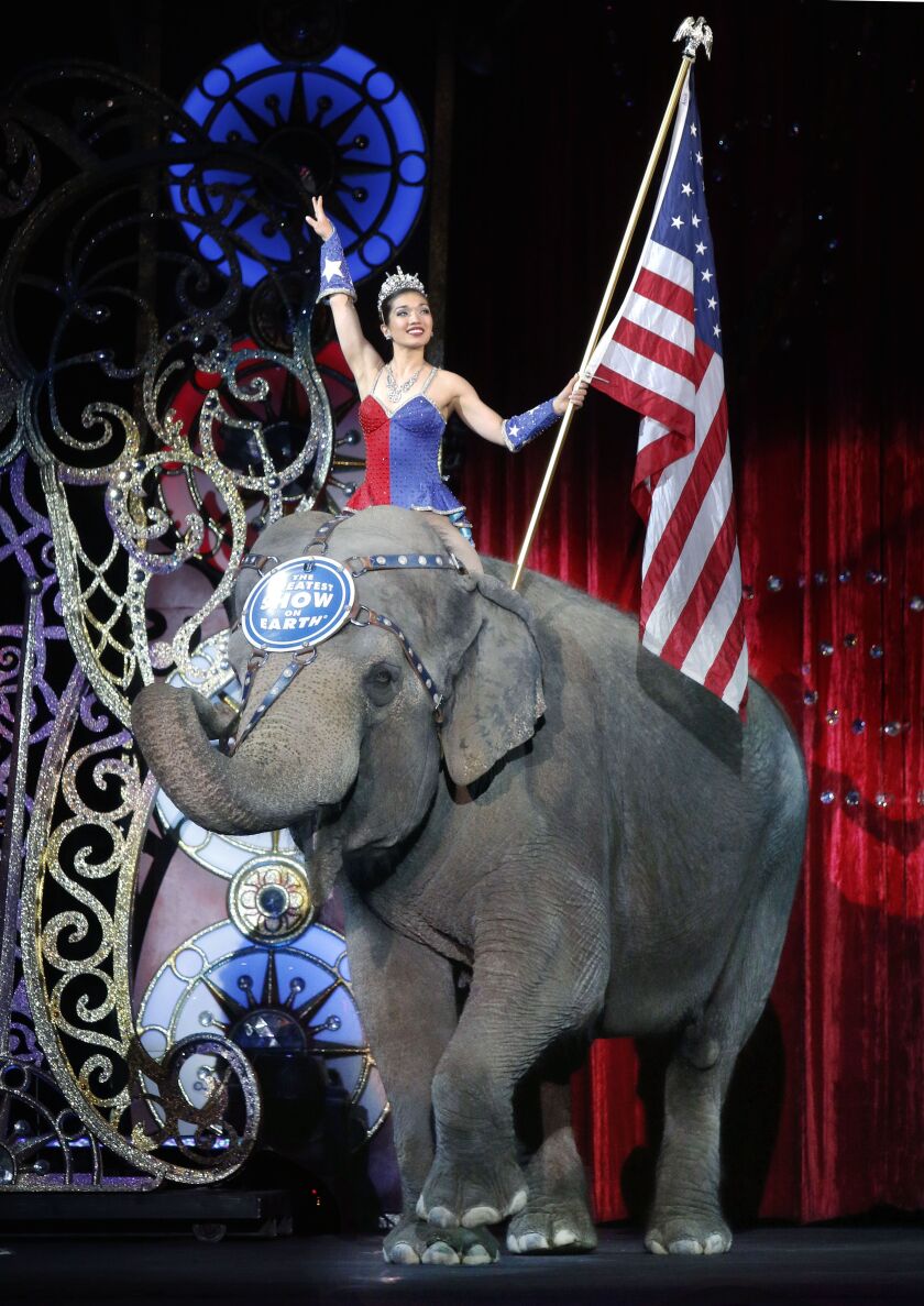 In this May 1, 2016 file photo, an Asian elephant performs during the ational anthem for the final time in the Ringling Bros. and Barnum & Bailey Circus in Providence, R.I. | AP Photo/Bill Sikes, File