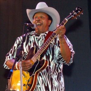 Lonnie Brooks on stage at Blues Fest in Grant Park in 2004. | Sun-Times file photo