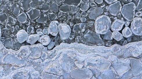 COLD_260123-12.jpg