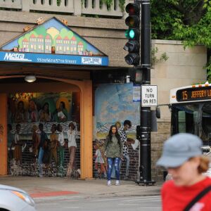 Hyde Park neighborhood, Chicago. | Victor Hilitski/For the Sun-Times