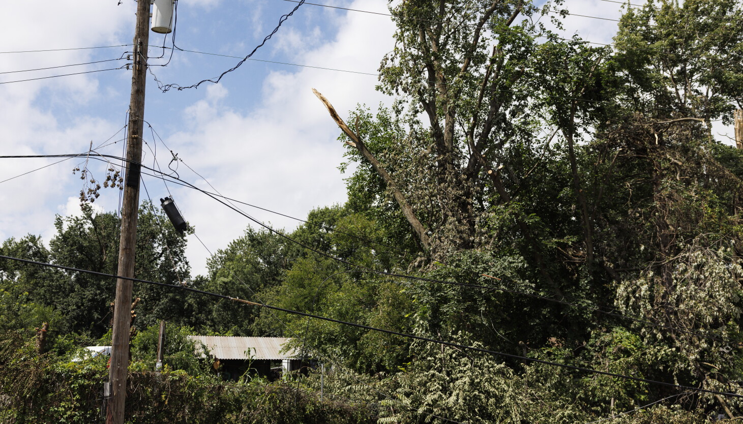 NW Indiana utility company neglected to protect power lines from 'hazard' trees, lawsuit alleges