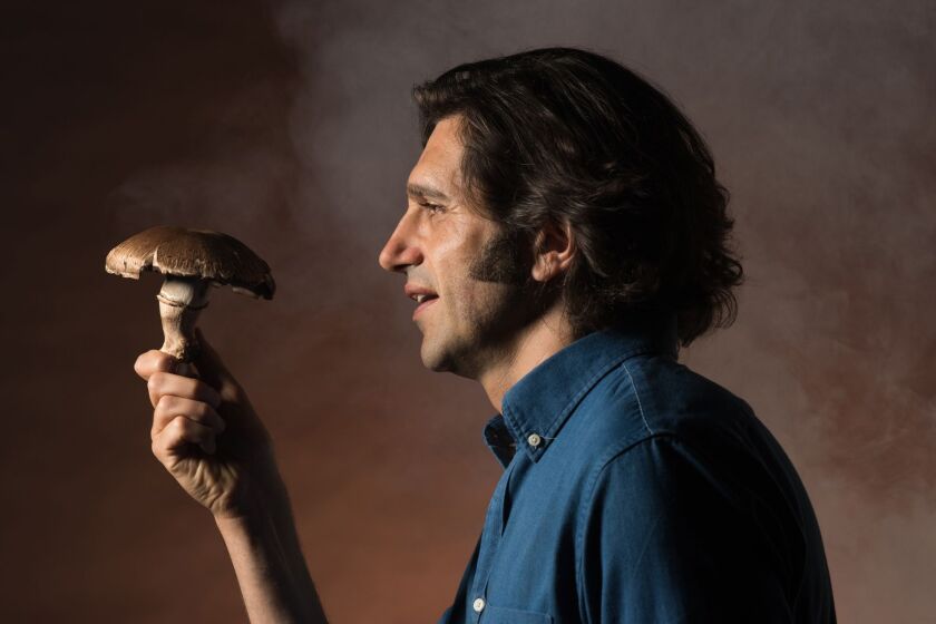 Adam Strauss stars in “The Mushroom Cure.” | David Allen photo