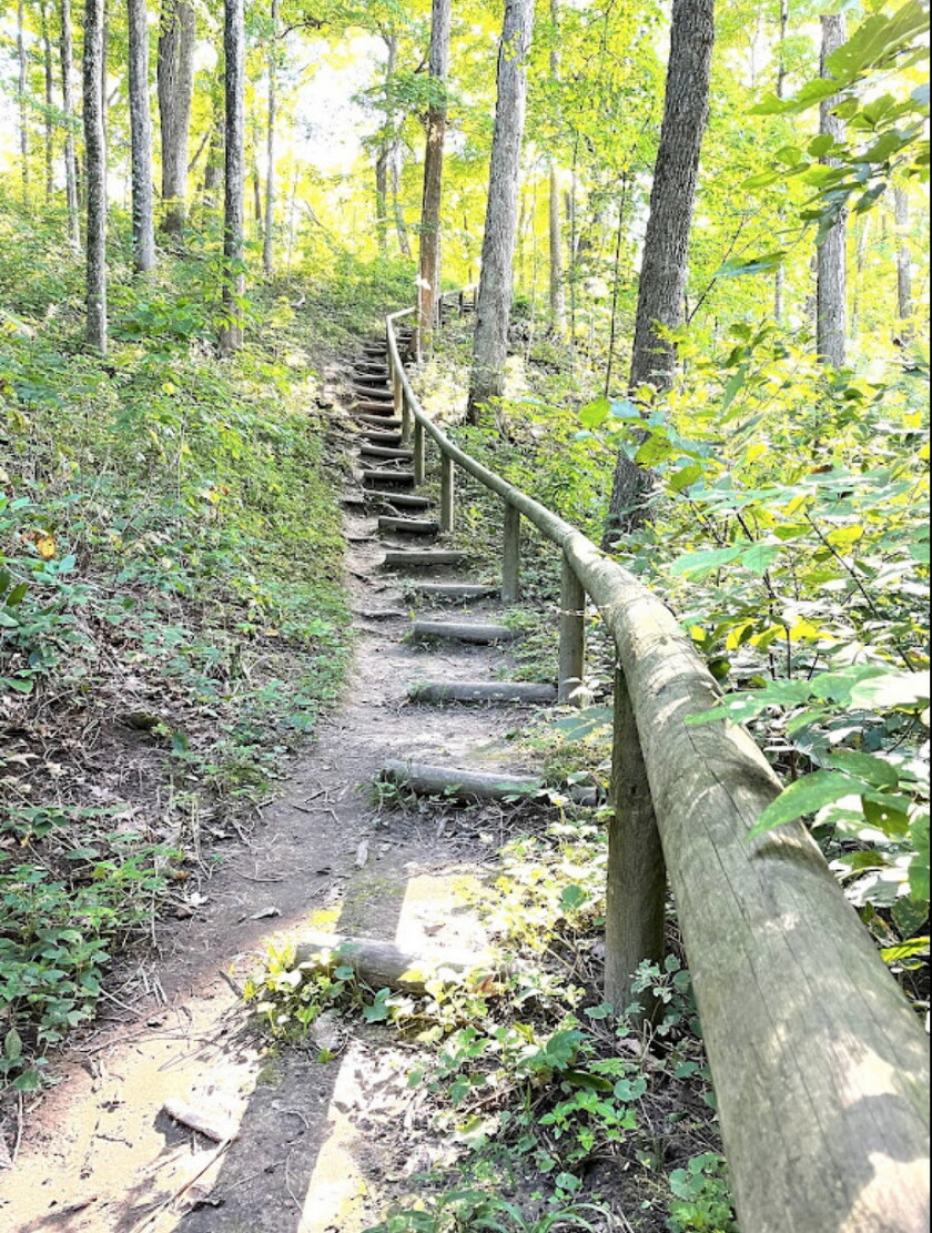 A challenging climb takes hikers out of the Franklin Creek valley and into the woods.