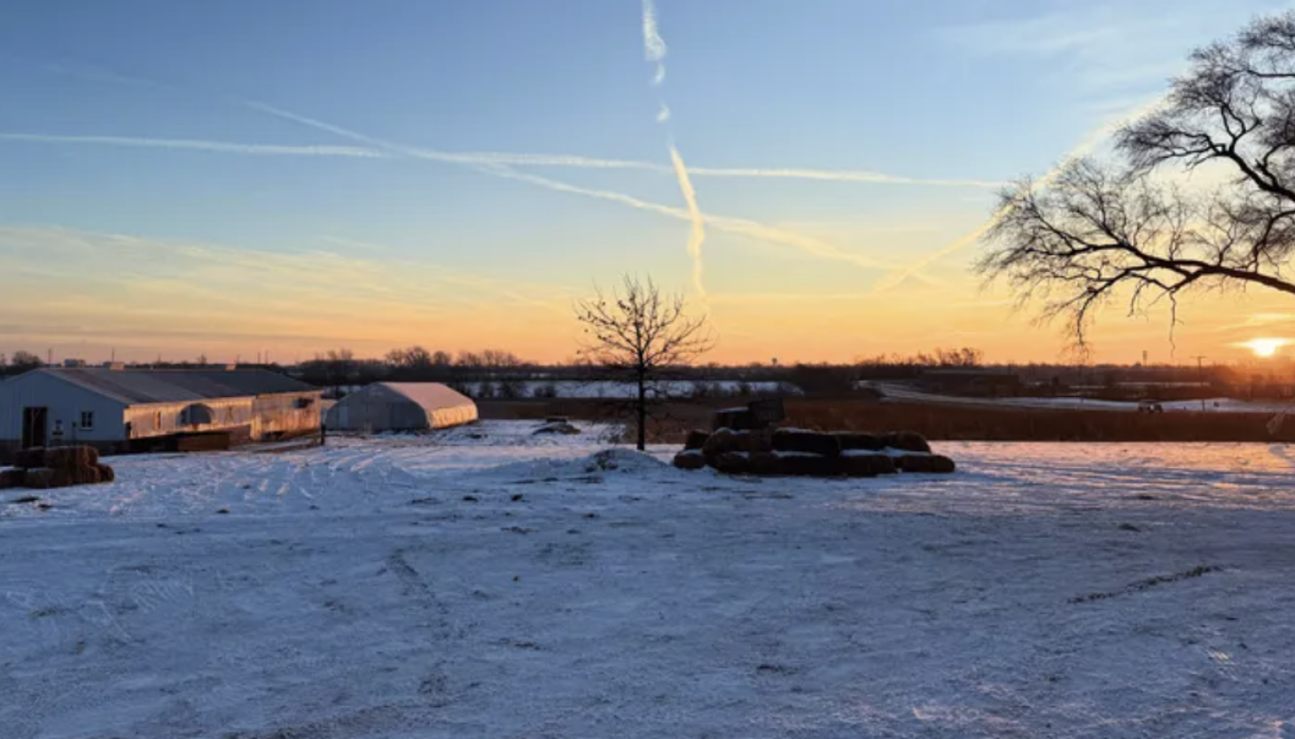 Massive Bird Flu Outbreak Claims 3,000 Hens on Matteson Farm Massive Bird Flu Outbreak Claims 3,000 Hens on Matteson Farm