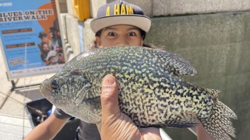 Indra Mallik with a good crappie from the Chicago River. Provided by Dr. Atul Mallik