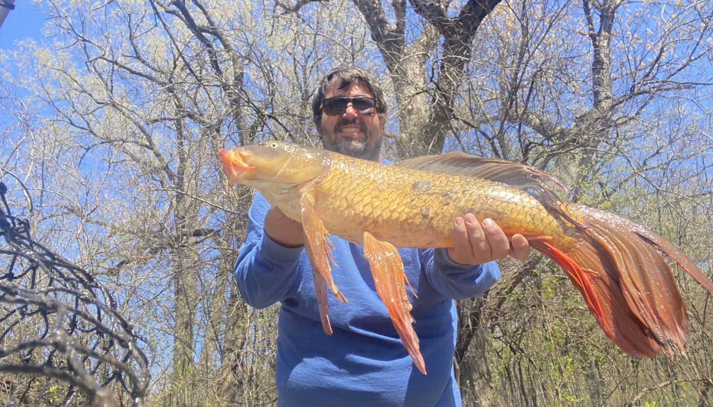 NextImg:Midwest Fishing Report: Perch closure, Wis. opener, early kings, spawning bass, coho, crappie
