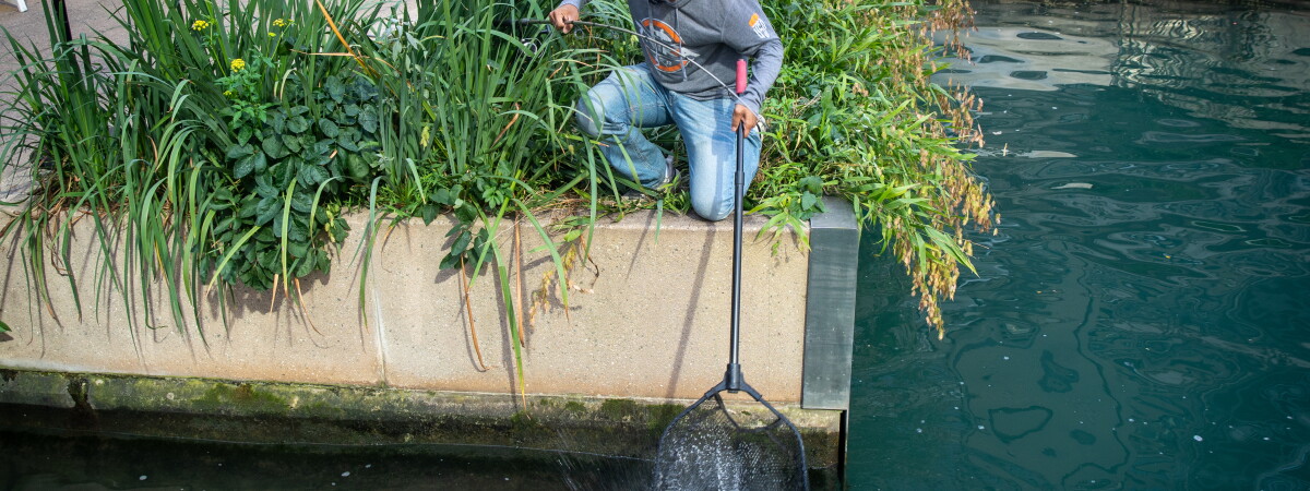 A person fishing beside the Chicago Riverwalk