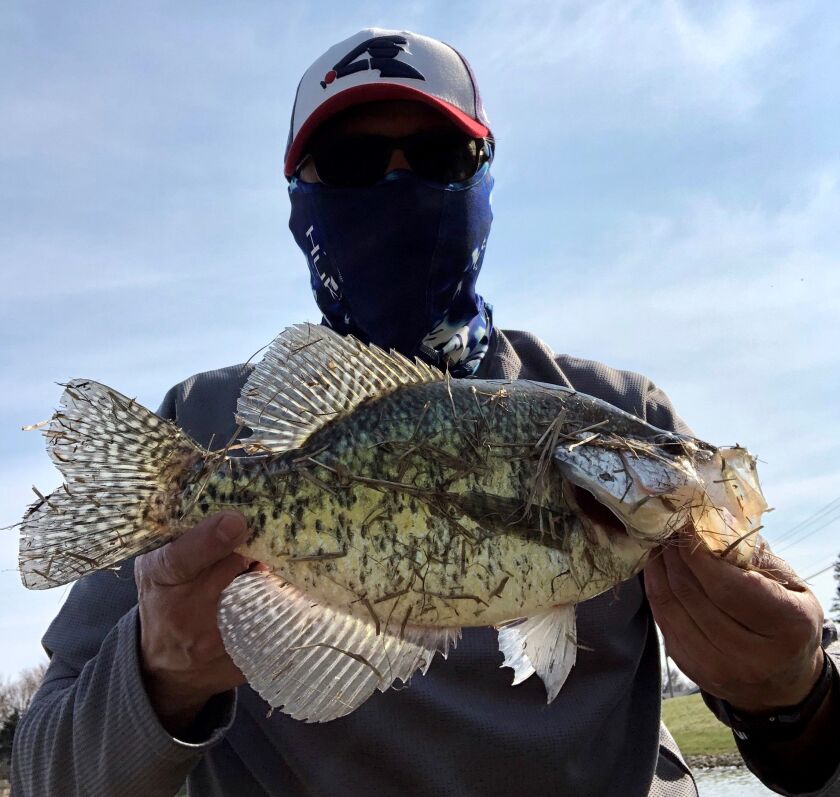 Rico Cantu with a beautiful crappie from Lockport. Provided photo